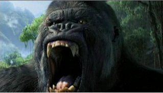 kong28u.jpg